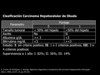 A. Linares, M. Rodríguez, L. Rodrigo; Algoritmo diagnóstico y terapéutico del carcinoma hepatocelular; Oncología
(Barc.). 2004, vol.27, n.4, pp. 95-101.
 
