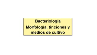 Bacteriología
Morfología, tinciones y
medios de cultivo
 