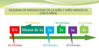 ESQUEMA DE PERIODICIDAD DE LA NIÑA Y NIÑO MENOR DE
CINCO AÑOS
3a
1a
04 Controles
11 Controles
06 Controles
04 Controles
04 Controles
04 Controles
RN Menor de 1a 2a 4a
 