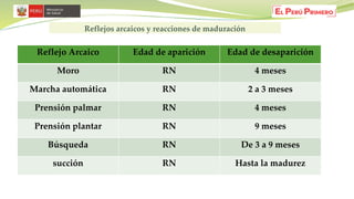 Reflejo Arcaico Edad de aparición Edad de desaparición
Moro RN 4 meses
Marcha automática RN 2 a 3 meses
Prensión palmar RN 4 meses
Prensión plantar RN 9 meses
Búsqueda RN De 3 a 9 meses
succión RN Hasta la madurez
Reflejos arcaicos y reacciones de maduración
 