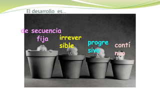 El desarrollo es…
contí
nuo
progre
sivo
irrever
sible
de secuencia
fija
 
