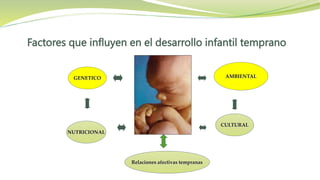 Factores que influyen en el desarrollo infantil temprano
GENETICO
CULTURAL
Relaciones afectivas tempranas
AMBIENTAL
NUTRICIONAL
 