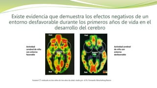 Existe evidencia que demuestra los efectos negativos de un
entorno desfavorable durante los primeros años de vida en el
desarrollo del cerebro
Actividad
cerebral de niño
con entorno
favorable
Actividad cerebral
de niño con
entorno
desfavorable
Scanner CT realizado en dos niños de tres años de edad, citado por el Dr. Fernando Monckeberg Barros
 