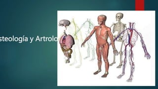 steología y Artrología
 