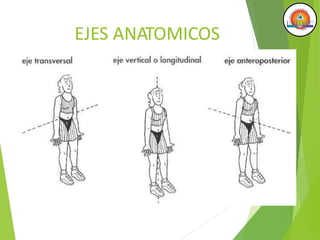 EJES ANATOMICOS
 