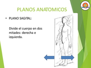 PLANOS ANATOMICOS
• PLANO SAGITAL:
Divide el cuerpo en dos
mitades: derecha e
izquierda.
 