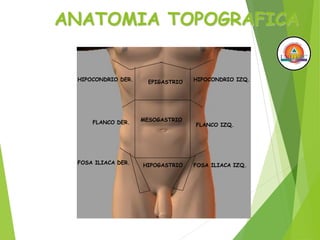 ANATOMIA TOPOGRAFICA
EPIGASTRIO
MESOGASTRIO
HIPOGASTRIO
HIPOCONDRIO DER. HIPOCONDRIO IZQ.
FLANCO DER. FLANCO IZQ.
FOSA ILIACA DER. FOSA ILIACA IZQ.
 