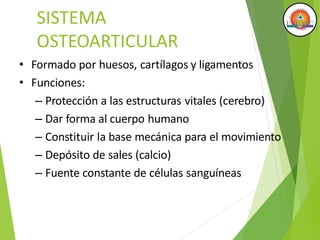 SISTEMA
OSTEOARTICULAR
• Formado por huesos, cartílagos y ligamentos
• Funciones:
– Protección a las estructuras vitales (cerebro)
– Dar forma al cuerpo humano
– Constituir la base mecánica para el movimiento
– Depósito de sales (calcio)
– Fuente constante de células sanguíneas
 