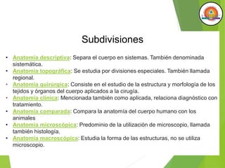 Subdivisiones
• Anatomía descriptiva: Separa el cuerpo en sistemas. También denominada
sistemática.
• Anatomía topográfica: Se estudia por divisiones especiales. También llamada
regional.
• Anatomía quirúrgica: Consiste en el estudio de la estructura y morfología de los
tejidos y órganos del cuerpo aplicados a la cirugía.
• Anatomía clínica: Mencionada también como aplicada, relaciona diagnóstico con
tratamiento.
• Anatomía comparada: Compara la anatomía del cuerpo humano con los
animales
• Anatomía microscópica: Predominio de la utilización de microscopio, llamada
también histología.
• Anatomía macroscópica: Estudia la forma de las estructuras, no se utiliza
microscopio.
 