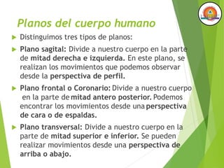 Planos del cuerpo humano
 Distinguimos tres tipos de planos:
 Plano sagital: Divide a nuestro cuerpo en la parte
de mitad derecha e izquierda. En este plano, se
realizan los movimientos que podemos observar
desde la perspectiva de perfil.
 Plano transversal: Divide a nuestro cuerpo en la
parte de mitad superior e inferior. Se pueden
realizar movimientos desde una perspectiva de
arriba o abajo.
 Plano frontal o Coronario: Divide a nuestro cuerpo
en la parte de mitad antero posterior. Podemos
encontrar los movimientos desde una perspectiva
de cara o de espaldas.
 