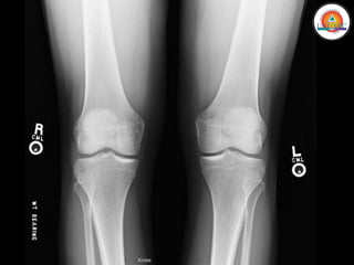 GENERALIDADES DE ANATOMIA 1ER. AÑO-1.pdf