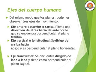 Ejes del cuerpo humano
 Eje vertical o longitudinal: Se dirige de
arriba hacia
abajo y es perpendicular al plano horizontal.
 Del mismo modo que los planos, podemos
observar tres ejes de movimiento:
 Eje antero posterior o sagital: Tiene una
dirección de atrás hacía delante por lo
que se encuentra perpendicular al plano
frontal.
 Eje transversal: Se encuentra dirigido de
lado a lado y tiene como perpendicular el
plano sagital.
 