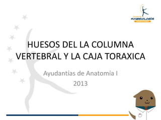 HUESOS DEL LA COLUMNA
VERTEBRAL Y LA CAJA TORAXICA
Ayudantías de Anatomía I
2013
 