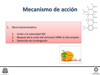 Mecanismo de acción
1. Efecto bacteriostático:
1. Unión a la subunidad 30S
2. Bloqueo de la unión del aminoacil-ARNt al sitio aceptor
3. Detención de la elongación
 