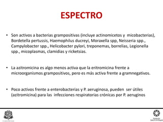 ESPECTRO
• Son activos a bacterias grampositivas (incluye actinomicetos y micobacterias),
Bordetella pertussis, Haemophilus ducreyi, Moraxella spp, Neisseria spp.,
Campylobacter spp., Helicobacter pylori, treponemas, borrelias, Legionella
spp., micoplasmas, clamidias y ricketsias.
• La azitromicina es algo menos activa que la eritromicina frente a
microorganismos grampositivos, pero es más activa frente a gramnegativos.
• Poco activos frente a enterobacterias y P. aeruginosa, pueden ser útiles
(azitromicina) para las infecciones respiratorias crónicas por P. aeruginos
 