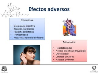Efectos adversos
Eritromicina:
• Intolerancia digestiva
• Reacciones alérgicas
• Hepatitis colestásica
• Tromboflebitis
• Hipoacusia reversible bilateral
Azitromicina:
• Hepatotoxicidad
• Nefritis intersticial irreversible
• Ototoxicidad
• Cefaleas y mareos
• Náuseas y vómitos
 