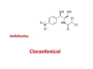 Cloranfenicol
Anfelicoles
 