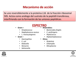Mecanismo de acción
Se une reversiblemente a la proteína L16 de la fracción ribosomal
50S. Actúa como análogo del sustrato de la peptidil-transferasa,
interfiriendo con la formación de las uniones peptídicas.
ESPECTRO
• Gram +
• Streptococcus
• Staphylococcus aureus
• L. monocytogenes
• Gram –
• Haemophilus
• E. coli
• Klebsiella
• Neisseria
• Salmonella
• Anaerobios:
• Bacteroides fragilis
• C. perfringens
• Peptococcus
• Peptostreptococcus
• Otros:
• Rickettsia
• Chlamydia
• Micoplasma
 