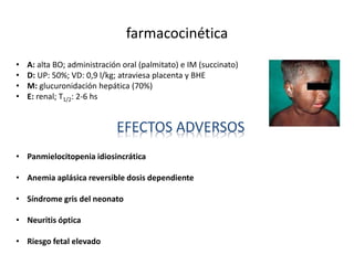 farmacocinética
• A: alta BO; administración oral (palmitato) e IM (succinato)
• D: UP: 50%; VD: 0,9 l/kg; atraviesa placenta y BHE
• M: glucuronidación hepática (70%)
• E: renal; T1/2: 2-6 hs
EFECTOS ADVERSOS
• Panmielocitopenia idiosincrática
• Anemia aplásica reversible dosis dependiente
• Síndrome gris del neonato
• Neuritis óptica
• Riesgo fetal elevado
 