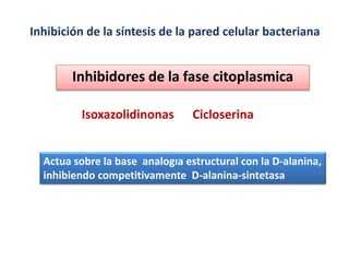 Actua sobre la base analogıa estructural con la D-alanina,
inhibiendo competitivamente D-alanina-sintetasa
Inhibición de la síntesis de la pared celular bacteriana
Inhibidores de la fase citoplasmica
Isoxazolidinonas Cicloserina
 