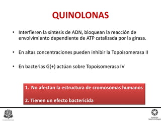 • Interfieren la síntesis de ADN, bloquean la reacción de
envolvimiento dependiente de ATP catalizada por la girasa.
• En altas concentraciones pueden inhibir la Topoisomerasa II
• En bacterias G(+) actúan sobre Topoisomerasa IV
QUINOLONAS
1. No afectan la estructura de cromosomas humanos
2. Tienen un efecto bactericida
 
