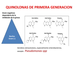 QUINOLONAS DE PRIMERA GENERACION
Bacilos
Gram (-)
Gram negativos
dependería de la
inhibición de la girasa
Aerobios extracelulares, especialmente enterobacterias,
excepto Pseudomonas spp
 