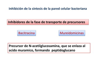 Inhibidores de la fase de transporte de precursores
Inhibición de la síntesis de la pared celular bacteriana
Precursor de N-acetilglucosamina, que se enlaza al
acido muramico, formando peptidoglucano
Bacitracina Mureidomicinas
 