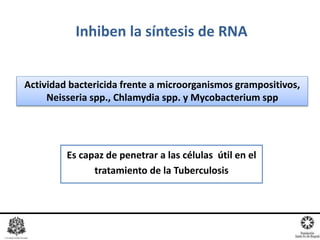 Es capaz de penetrar a las células útil en el
tratamiento de la Tuberculosis
Inhiben la síntesis de RNA
Actividad bactericida frente a microorganismos grampositivos,
Neisseria spp., Chlamydia spp. y Mycobacterium spp
 