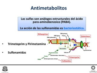 Antimetabolitos
Las sulfas son análogos estructurales del ácido
para-aminobenzoico (PABA).
La acción de las sulfonamidas es bacteriostática.
• Trimetoprim y Pirimetamina
• Sulfonamidas
 