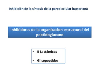 Inhibidores de la organizacion estructural del
peptidoglucano
Inhibición de la síntesis de la pared celular bacteriana
• B Lactámicos
• Glicopeptidos
 