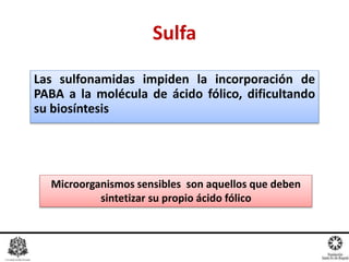 Las sulfonamidas impiden la incorporación de
PABA a la molécula de ácido fólico, dificultando
su biosíntesis
Sulfa
Microorganismos sensibles son aquellos que deben
sintetizar su propio ácido fólico
 