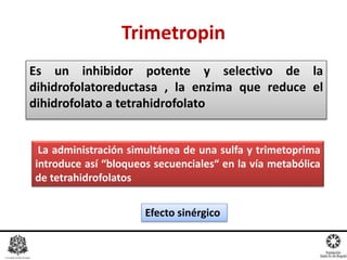 Es un inhibidor potente y selectivo de la
dihidrofolatoreductasa , la enzima que reduce el
dihidrofolato a tetrahidrofolato
Trimetropin
Efecto sinérgico
La administración simultánea de una sulfa y trimetoprima
introduce así “bloqueos secuenciales“ en la vía metabólica
de tetrahidrofolatos
 