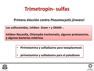 Primera elección contra Pneumocystis jirovecci
Trimetropin- sulfas
Las sulfonamidas, inhiben Gram + y GRAM -.
Inhiben Nocardia, Chlamydia trachomatis, algunos protozoarios,
y algunas bacterias entéricas
• Pirimetamina y sulfadiazina para toxoplasmosis
• pirimetamina y sulfadoxina para el paludismo
 
