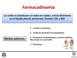 Las sulfas se distribuyen en todos los tejidos, entran fácilmente
en el líquido pleural, peritoneal, sinovial, LCR, y SNC
Farmacodinamia
1. cristaluria nefrotóxica
2. Trastornos del sistema hematopoyético
3. Leucopenia, trombocitopenia, o anemia aplástica.
Mas común es la eosinofilia
1. Kernicterus
Efectos adversos
 