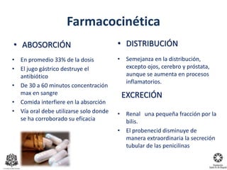 Farmacocinética
• ABOSORCIÓN
• En promedio 33% de la dosis
• El jugo gástrico destruye el
antibiótico
• De 30 a 60 minutos concentración
max en sangre
• Comida interfiere en la absorción
• Vía oral debe utilizarse solo donde
se ha corroborado su eficacia
• DISTRIBUCIÓN
• Semejanza en la distribución,
excepto ojos, cerebro y próstata,
aunque se aumenta en procesos
inflamatorios.
EXCRECIÓN
• Renal una pequeña fracción por la
bilis.
• El probenecid disminuye de
manera extraordinaria la secreción
tubular de las penicilinas
 