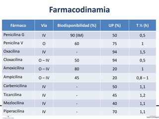 Farmacodinamia
Fármaco Vía Biodisponibilidad (%) UP (%) T ½ (h)
Penicilina G IV 90 (IM) 50 0,5
Penicilna V O 60 75 1
Oxacilina IV - 94 1,5
Cloxacilina O – IV 50 94 0,5
Amoxicilina O – IV 80 20 1
Ampicilina O – IV 45 20 0,8 – 1
Carbenicilina IV - 50 1,1
Ticarcilina IV - 45 1,2
Mezlocilina IV - 40 1,1
Piperacilina IV - 70 1,1
 