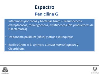 Espectro
• Infecciones por cocos y bacterias Gram +: Neumococos,
estreptococos, meningococos, estafilococos (No productores de
B-lactamasas)
• Treponema pallidum (sífilis) y otras espiroquetas
• Bacilos Gram +: B. antracis, Listeria monocitogenes y
Clostridium.
 