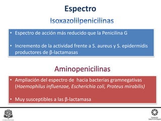 Espectro
• Espectro de acción más reducido que la Penicilina G
• Incremento de la actividad frente a S. aureus y S. epidermidis
productores de β-lactamasas
• Ampliación del espectro de hacia bacterias gramnegativas
(Haemophilus influenzae, Escherichia coli, Proteus mirabilis)
• Muy susceptibles a las β-lactamasa
 