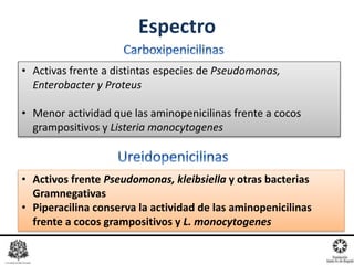 Espectro
• Activas frente a distintas especies de Pseudomonas,
Enterobacter y Proteus
• Menor actividad que las aminopenicilinas frente a cocos
grampositivos y Listeria monocytogenes
• Activos frente Pseudomonas, kleibsiella y otras bacterias
Gramnegativas
• Piperacilina conserva la actividad de las aminopenicilinas
frente a cocos grampositivos y L. monocytogenes
 