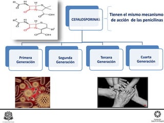 CEFALOSPORINAS
Primera
Generación
Segunda
Generación
Tercera
Generación
Cuarta
Generación
Tienen el mismo mecanismo
de acción de las penicilinas
 