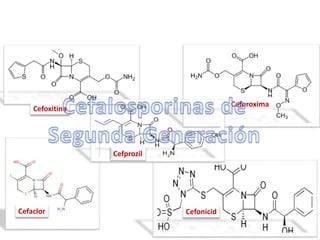 Cefoxitina
Cefuroxima
Cefaclor Cefonicid
Cefprozil
 