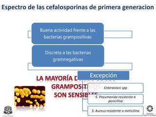 Espectro de las cefalosporinas de primera generacion
Buena actividad frente a las
bacterias grampositivas
Discreta a las bacterias
gramnegativas
Excepción
Enterococci spp
S. Pneumoniae resistente a
penicilina
S. Aureus resistente a meticilina
 