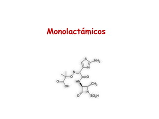 Monolactámicos
 