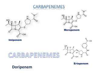 Imipenem
Ertapenem
Meropenem
Doripenem
 