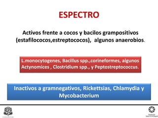 L.monocytogenes, Bacillus spp.,corineformes, algunos
Actynomices , Clostridium spp., y Peptostreptococcus.
ESPECTRO
Activos frente a cocos y bacilos grampositivos
(estafilococos,estreptococos), algunos anaerobios.
Inactivos a gramnegativos, Rickettsias, Chlamydia y
Mycobacterium
 