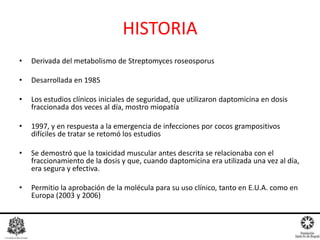 HISTORIA
• Derivada del metabolismo de Streptomyces roseosporus
• Desarrollada en 1985
• Los estudios clínicos iniciales de seguridad, que utilizaron daptomicina en dosis
fraccionada dos veces al día, mostro miopatía
• 1997, y en respuesta a la emergencia de infecciones por cocos grampositivos
difíciles de tratar se retomó los estudios
• Se demostró que la toxicidad muscular antes descrita se relacionaba con el
fraccionamiento de la dosis y que, cuando daptomicina era utilizada una vez al día,
era segura y efectiva.
• Permitio la aprobación de la molécula para su uso clínico, tanto en E.U.A. como en
Europa (2003 y 2006)
 