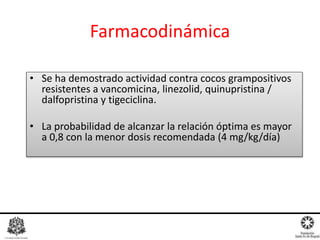 Farmacodinámica
• Se ha demostrado actividad contra cocos grampositivos
resistentes a vancomicina, linezolid, quinupristina /
dalfopristina y tigeciclina.
• La probabilidad de alcanzar la relación óptima es mayor
a 0,8 con la menor dosis recomendada (4 mg/kg/día)
 
