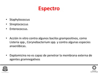 Espectro
• Staphylococcus
• Streptococcus
• Enterococcus.
• Acción in vitro contra algunos bacilos grampositivos, como
Listeria spp., Corynebacterium spp. y contra algunas especies
anaeróbicas.
• Daptomicina no es capaz de penetrar la membrana externa de
agentes gramnegativos
 