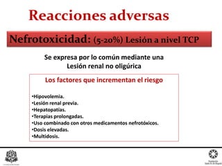 Reacciones adversas
Nefrotoxicidad: (5-20%) Lesión a nivel TCP
Se expresa por lo común mediante una
Lesión renal no oligúrica
Los factores que incrementan el riesgo
•Hipovolemia.
•Lesión renal previa.
•Hepatopatías.
•Terapias prolongadas.
•Uso combinado con otros medicamentos nefrotóxicos.
•Dosis elevadas.
•Multidosis.
 