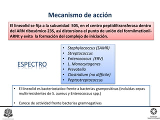 Mecanismo de acción
ESPECTRO
• Staphylococcus (SAMR)
• Streptococcus
• Enterococcus (ERV)
• L. Monocytogenes
• Prevotella
• Clostridium (no difficile)
• Peptostreptococcus
El linezolid se fija a la subunidad 50S, en el centro peptidiltransferasa dentro
del ARN ribosómico 23S, asi distorsiona el punto de unión del formilmetionil-
ARNt y evita la formación del complejo de iniciación.
• El linezolid es bacteriostatico frente a bacterias grampositivas (incluidas cepas
multirresistentes de S. aureus y Enterococcus spp.)
• Carece de actividad frente bacterias gramnegativas
 